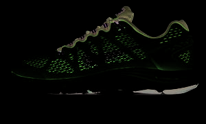 Nike LunarGlide+5